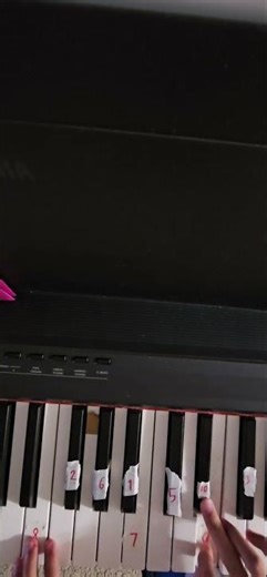 Black Knife piano easy-med #popular #deltarune #trending