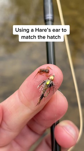 Hare’s ear was made to resemble not one particular bug, but multiple species of bugs. Some days, I fish heavy with a Hare’s ear. #flyfishing #flyfish #flyfishing nation #flyfishinglife #flyfishingtrout #flyfishingtiktok #flyfishingaddict #flyfishingbum #flyfishingcheck #flyfishfood #flyfishadventures #flyfishdelawhere #fishing #fishinglife #fishingrod #aventuronusa #lidrig #howtoflyfish #howtofish #matchthehatch #lidrig #magband #aventuronusa