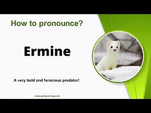 How to pronounce Ermine in English Correctly