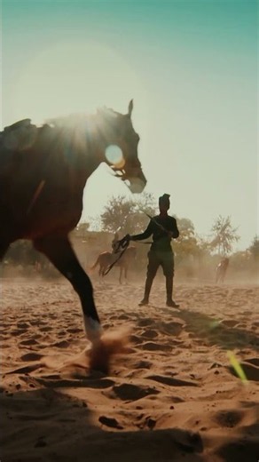 A daring cavalry charge. A hard fought victory. A legacy that still rides on. #61stCavalry