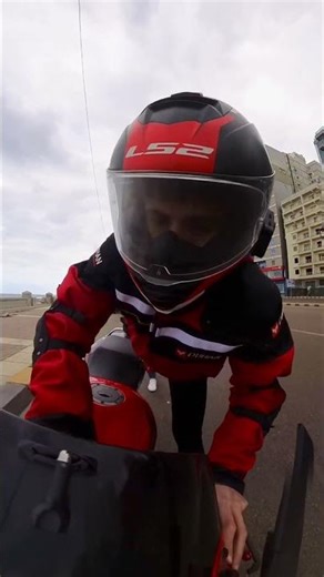 When you use your brain like a rabbit, part two 😂