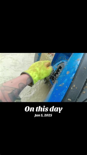 Aventuras Offroad en el CFMOTO: Un Día Memorables