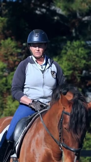 Ridely | The Equestrian Training App & Community on Instagram: "Ever had a judge comment “needs more self-carriage”? 🤔 In her Equitation Science program in Ridely, Jody Hartstone explains that self-carriage is about the horse maintaining rhythm, posture, direction, and contact without the rider constantly applying pressure. Clear, fair training creates a horse that’s lighter, happier, and more confident in its work. #WelfareWednesday 🐴 💜 Learn more in Jody’s full training program, part of the