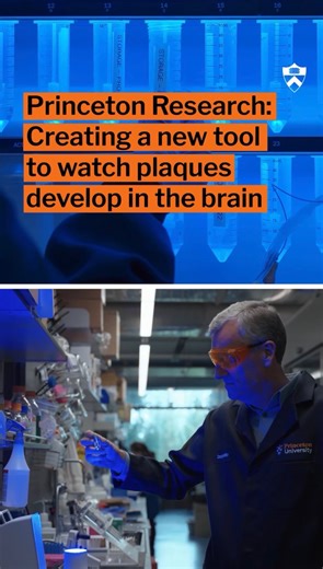 Princeton University | Micromap, a revolutionary tool for revealing cellular interactions, was created by Princeton @NobelPrize laureate in chemistry David... | Instagram