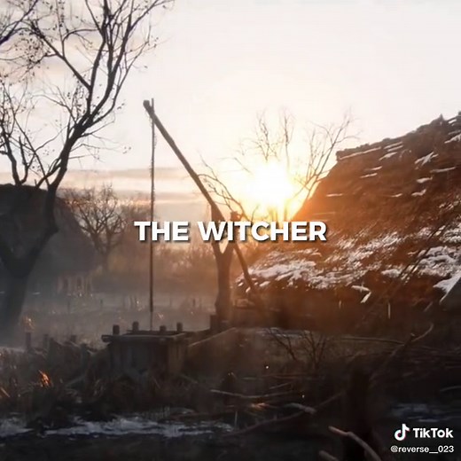 Correct me if i'm wrong #videogames #games #viral #edit #perte #foryou #rpg #thewitcher #fallout