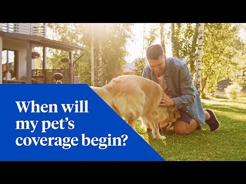 When Will Coverage Begin?