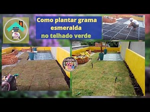 How to plant grass on the roof [Green Roof Project]