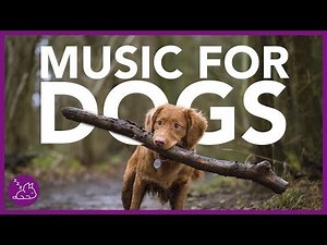 15 HOURS of The Best Music for Dogs! Chill Your Dog and Help Sleep!