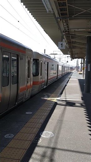 JR東海313系増結6両編成。掛川駅到着。