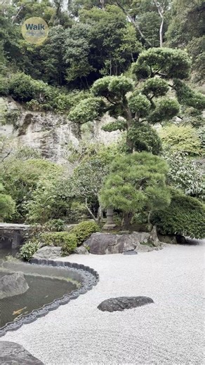 【#Shorts】 Houkokuji, Kamakura, Japan