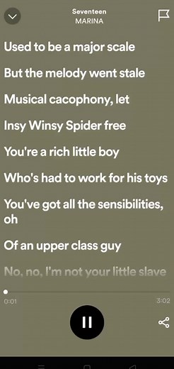 Seventeen Lyrics by Marina - A Deep Dive