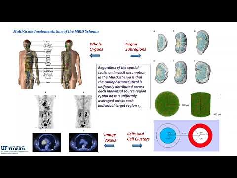 Dosimetry Methods for Radiopharmaceutical Therapy