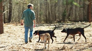 Rescue Me ( RescueMe.Org ) surpassed 700,000 adoptions since this video was first posted! Please watch this video of our Animal Rehabilitation Center on 135-acres. - Jeff | RescueMe.Org