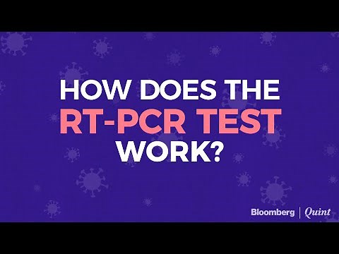 Here's How The RT-PCR Test To Detect Covid-19 Works