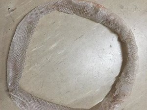 Snake gets trapped in its own skin