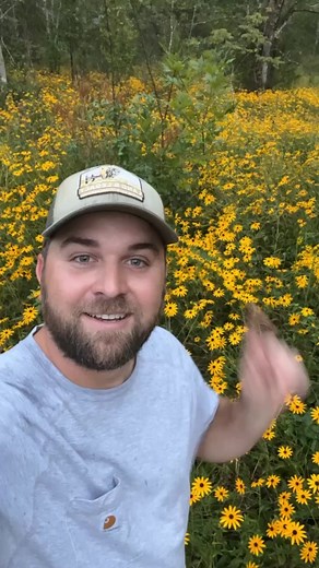 The Importance of Aggressive Natives in Restoring Native Habitats