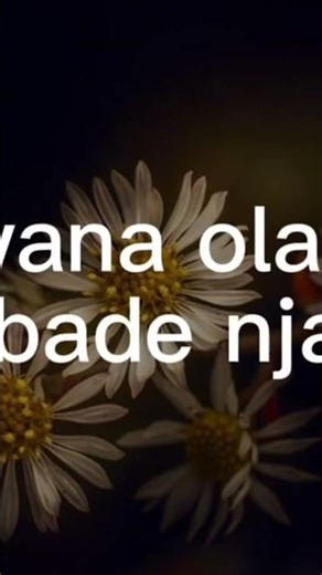 hllo bestie hw au today###