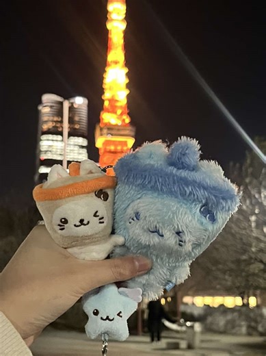 NCT WISH TT Cover Performance Review