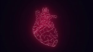 Human Heart Beating Animation