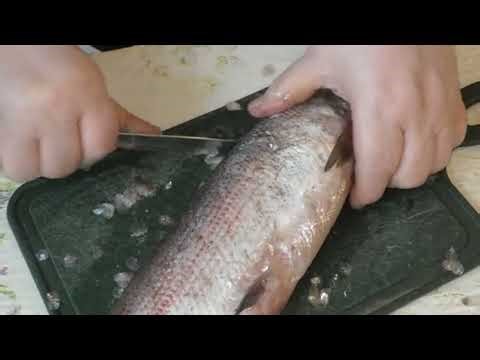 Inside the Largest Fish Processing Plants in the World