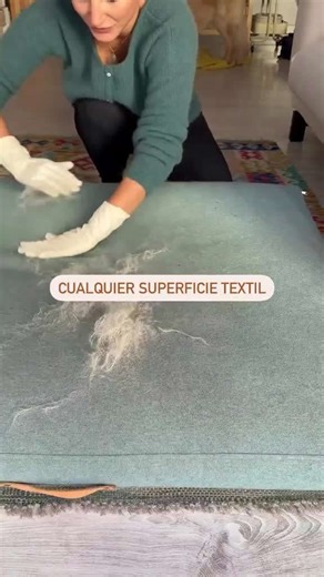 The Easiest Trick to Remove Pet Hair From Any Surface