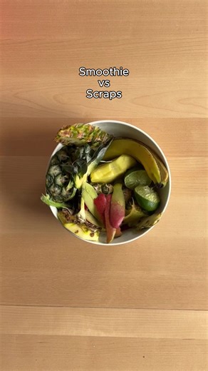thefoodcycler on TikTok