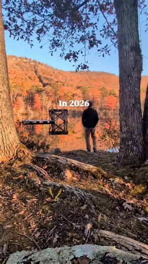 Have you ever heard the old Cherokee parable "there are two wolves inside of you always fighting. One of darkness and one of light. Who wins? The one you feed." Well your algorithm is the physical form of this exact battle. The algorithm feeds you what you interact with. Interact with positive content and it will feed you positive content. Interact with negative content and it will feed you negative content. Interact with mushroom stools in the shape of a gingerbread house and it'll show you mus