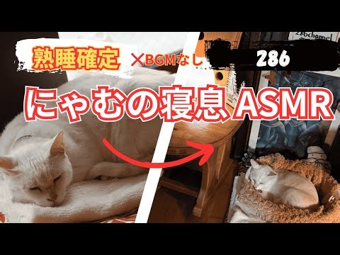 【熟睡確定】🔥 3時間40分超・にゃむの「暖かすぎる寝息」ASMR | ❌BGMなし安眠耐久 [睡眠・集中用]