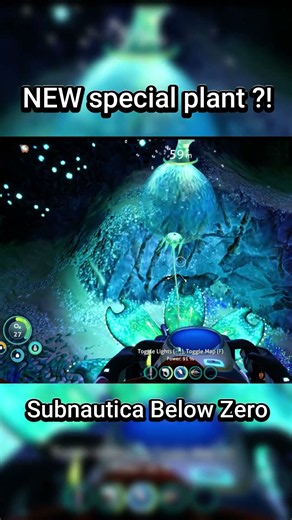 Do NOT Ignore This Plant in Subnautica Below Zero!