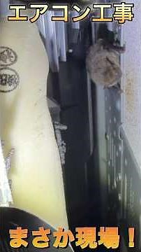 [Air Conditioner Installation] Unbelievable! A friend in the house? Making itself at home...