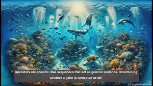 Operatqr in biology