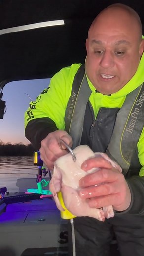 Going For Big Shark In The Potomac River! #catfish #fishinglife #chicken #sharks #fishing #fish | Chunky Cats Fishing