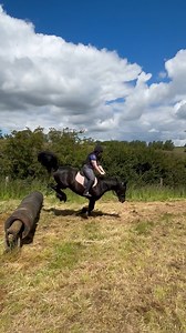 512K views · 2.3K reactions | With a request from one of our fans: dollie.the.cob on TT #horselovers #horsefails #horsefail #horseridingfail #horseridingfails #horses #horseofinstagram #jumping #horsejumping | HorseLovers Fails | Facebook