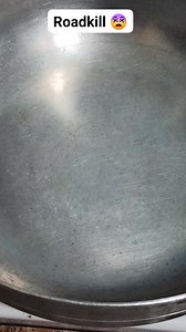 Pissed me clean tf off! I went back and scooped my chix up😂 I'm out! #cooking #cookingathome #cookingreels #fyp #chicken #wholechicken #friedchicken #pissed #roadkill #viral #viralreels #drama #toxic | Ninzooni Maree