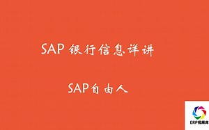 SAP 银行信息详讲