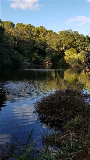 2020 Seabrook Island SC - On Island Lake