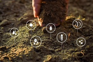 Microbiology in Soil Science