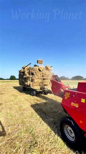 Square Balers Launch Hay Bales Into Trailers ✨