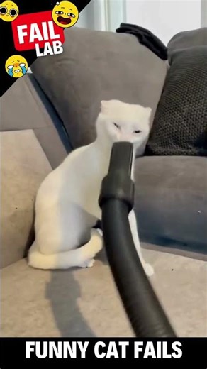 CAT FAILS: Pure Chaos & Adorable Mistakes ⚠️🐈