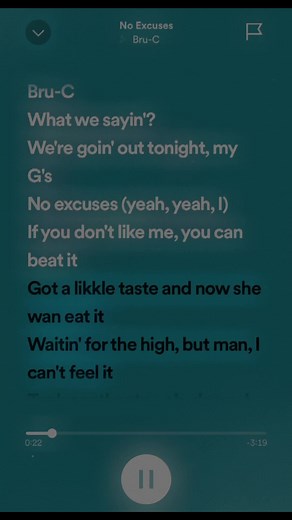 song - No excuses by Bru-C ll first video loves 💕 ll tags - #chav #chavymusic #music #bruc #noexcuses #spotify #summertimemusic #chavysongss