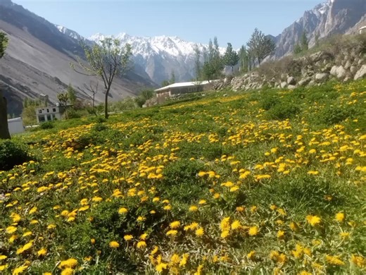 Ndk sh@ms (@ndk.shams)’s videos with original sound - Ndk sh@ms