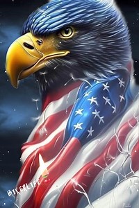 Bless the USA. | Biker Life