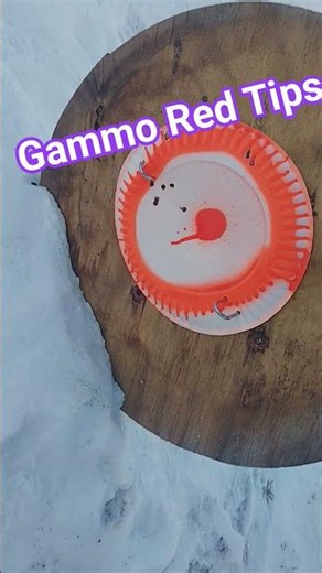 Gammo Red Tip Pellets