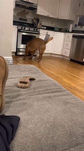 Bowl Boy Bogey #bogeyboy | Ben Kennedy