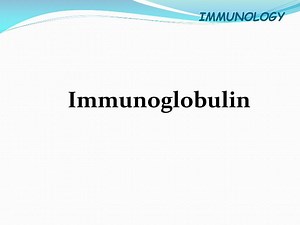 PPT - Immunoglobulin PowerPoint Presentation, free download - ID:5611965