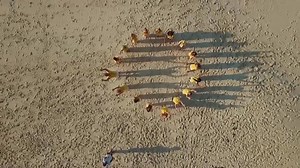 4.8K views · 290 reactions | Is it a dream of yours to become a...