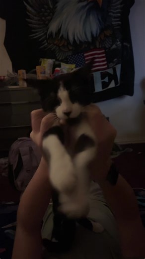 #xddreadful #uppermoon2 | demon slayer upper moon edit