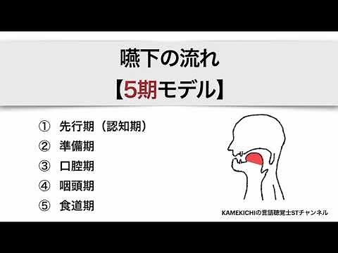 嚥下の流れ【5期モデル】