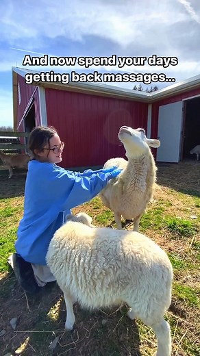 Last year, we rescued Evie sheep from a farm where over 200 animals were neglected. The cruelty was so bad that some of the animals had already died before help arrived. Thankfully, Evie was rescued before it was too late and gave birth to her sweet babies Jeanne and Margaretta, in the safety of sanctuary. She’s the most gentle, caring mother, and we’re so happy this family has each other by their side. 🥹💚 Want to support Evie this Mother’s Day? As a mom of (very jumpy) new twins, she needs a 