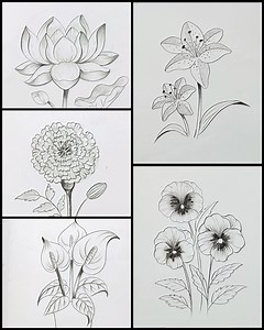 485K views · 5K reactions | Let's sketch easy. Flowers drawing tutorial | Drawing Book | Facebook